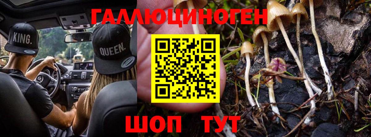 Псилоцибиновые грибы GOLDEN TEACHER Людиново