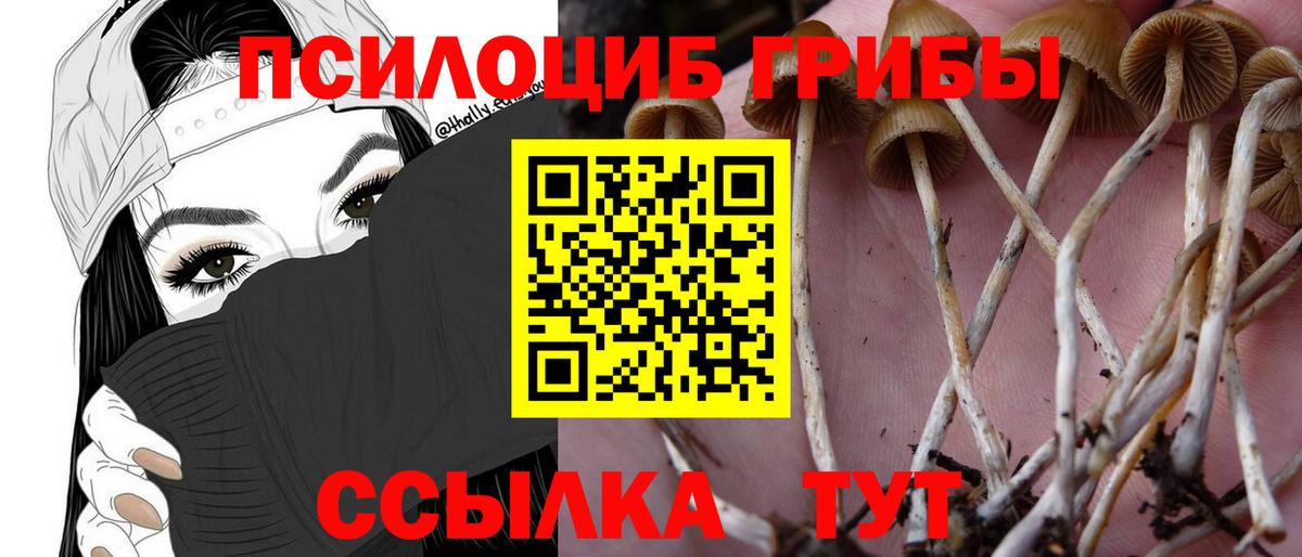 Людиново  как найти закладки  Вход с VPN  Псилоцибиновые грибы MAGIC MUSHROOMS 