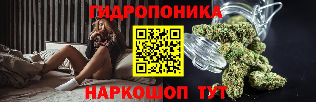 Людиново  Каннабис планчик  Вход с VPN  Шишки марихуана индика 